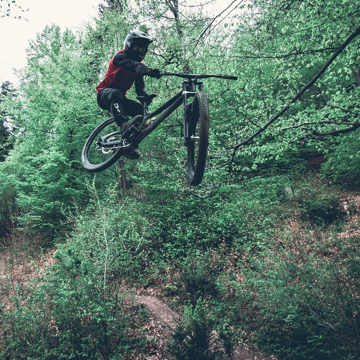 TSG - Sentinel Helm - Full Face Downhill MTB