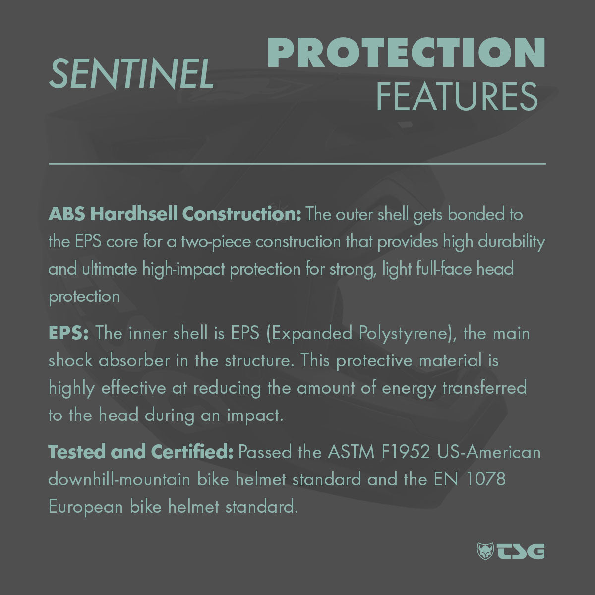 TSG - Sentinel Helm - Full Face Downhill MTB