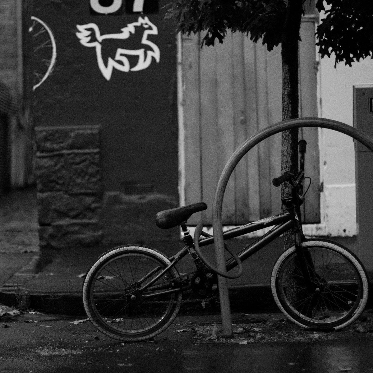 Knog - Kransky - Kabelschloss 