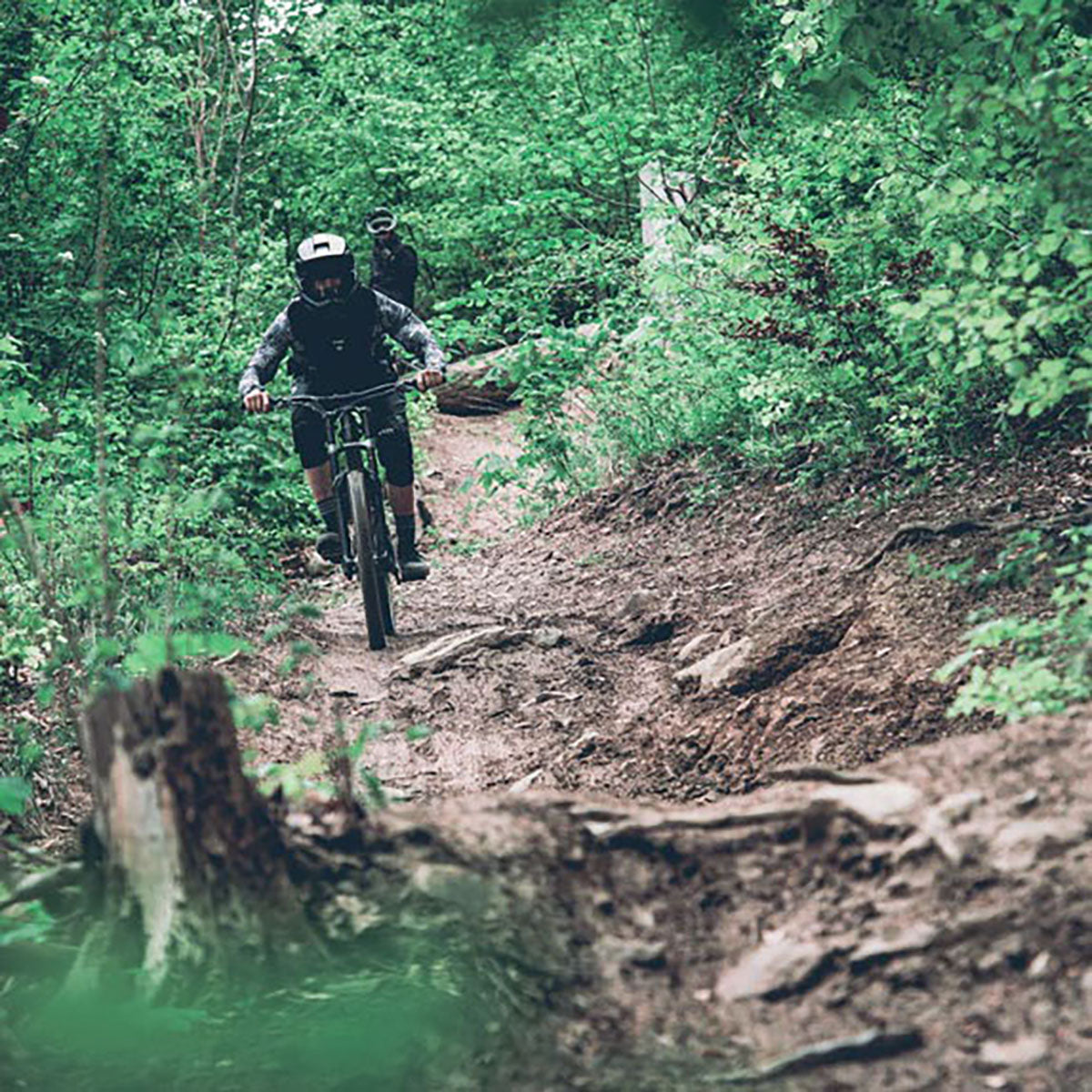 TSG - Sentinel Helm - Full Face Downhill MTB