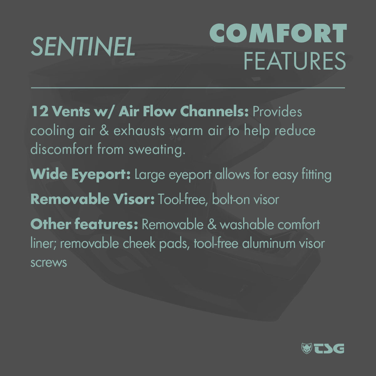 TSG - Sentinel Helm - Full Face Downhill MTB